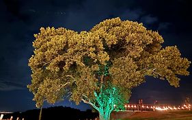 Vinícola Mirantus